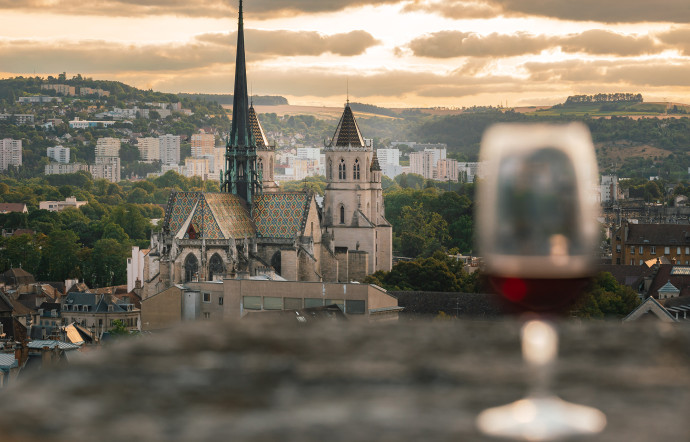 visite de dijon capitale de la bourgogne