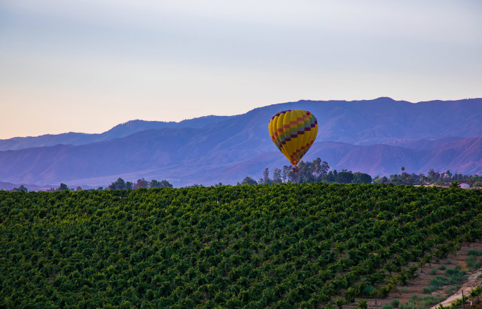 Les montgolfières font partie intégrante du paysage de Temecula.