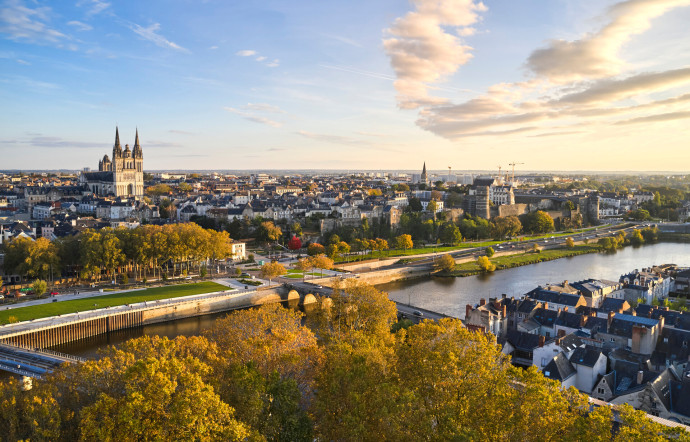 angers vue de la ville